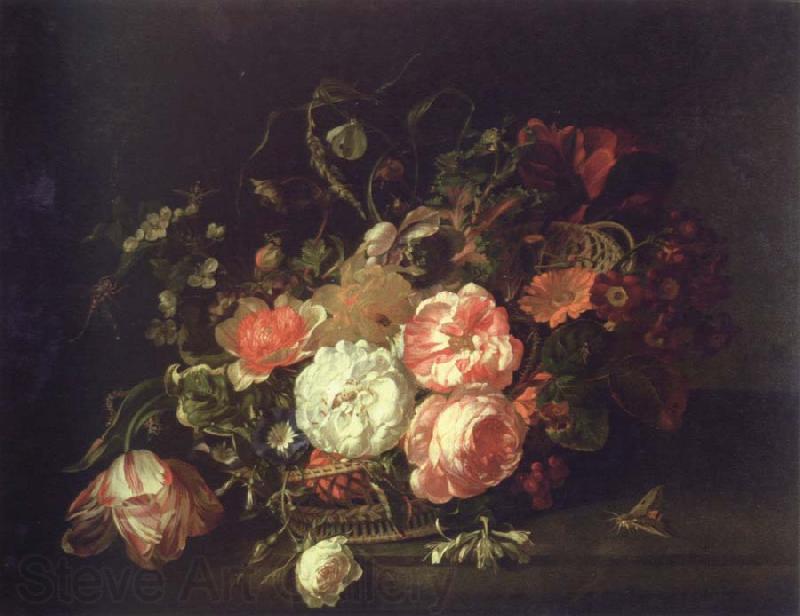 Rachel Ruysch flowers and lnsects France oil painting art